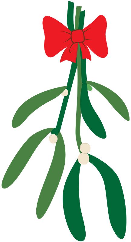 Mistletoe Transparent Clipart - Use these mistletoe ...