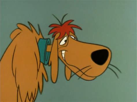 Precious Pupp Character Hanna Barbera Wiki