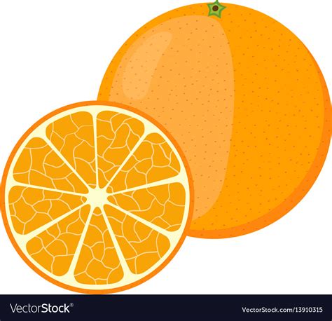 Orange In Cartoon Style Fresh Ripe Exotic Fruit Vector Image
