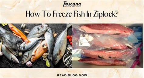 How To Freeze Fish In Ziplock 3 Easy Steps And Tips For Everyone