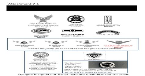Authorized Air Force Jrotc Badges And Insignia€¦ · Cap Insignia The