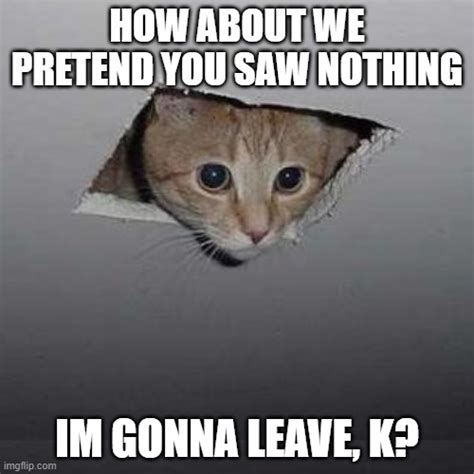 Ceiling Cat Meme Imgflip