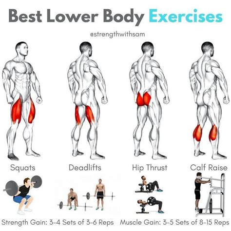 best lower body exercises quadriceps squats back or front hamstrings conventional