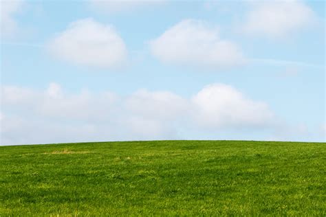 Green Grass Blue Sky Free Stock Photo Public Domain Pictures