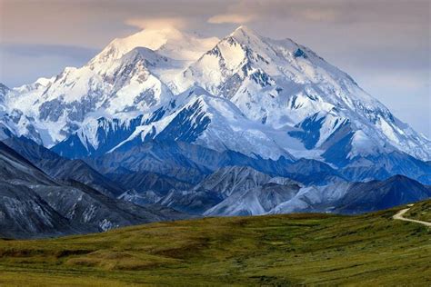 Denali Anchorage Tickets And Tours 2024