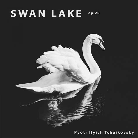 Pyotr Ilyich Tchaikovsky Swan Lake Op 20 Iheart