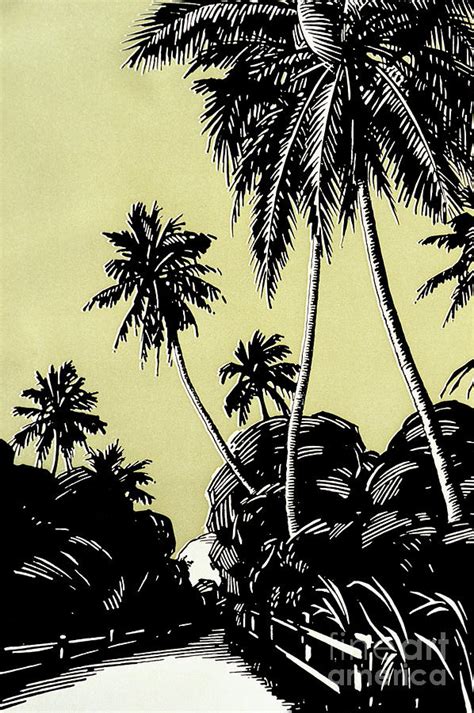 Vintage Hawaii Palms Painting By Hawaiian Legacy Archive Printscapes
