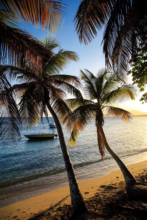 Las 25 Mejores Playas Del Mundo Puerto Rico Vacation Puerto Rico