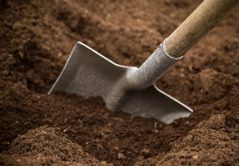 Landscaping Tips 4 Frequently Asked Questions About Fill Dirt