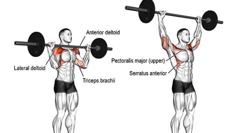 Can You Build Muscle With Just Compound Exercises Fit Hour