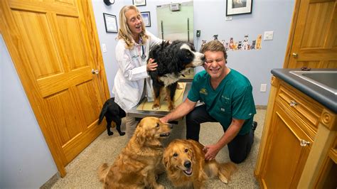 Happy Tails in Shrewsbury: Veterinary care is family affair