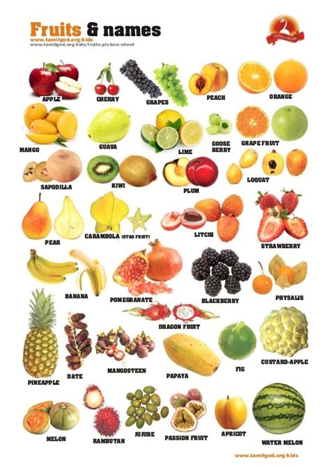 All Types Of Fruits Images With Names The Meta Pictures