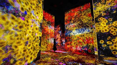 Teamlab Borderless Returns With More Exciting Surprises At Tokyos