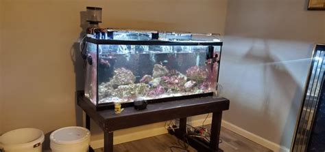 55 Gallon Saltwater Aquarium Complete Setup For Sale In Cincinnati Oh