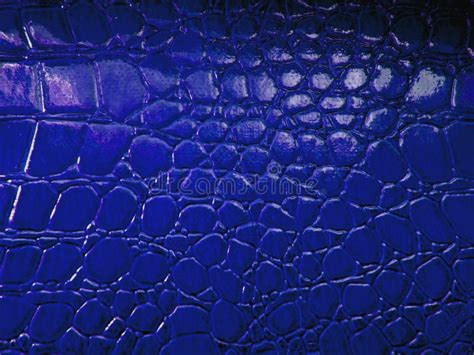 Crocodile Skin Pattern Stock Photo Image Of Decor 160551812