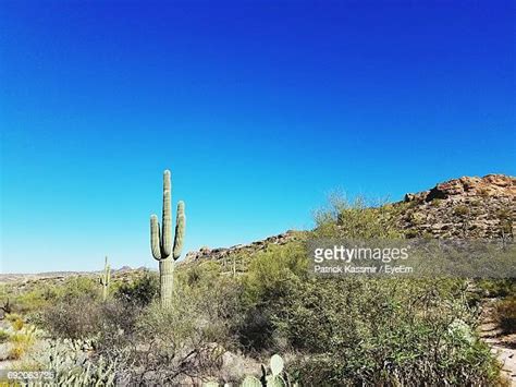 Apache Junction Arizona Photos And Premium High Res Pictures Getty Images