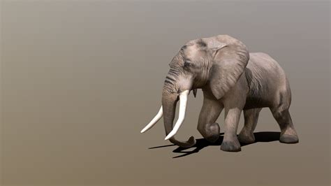 Elephant Download Free 3d Model By Rukh3d [4ae1613] Sketchfab