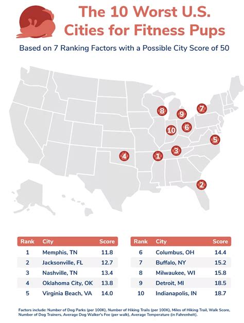 The 10 Best — And Worst — Us Cities For Dog Fitness Supermarket News