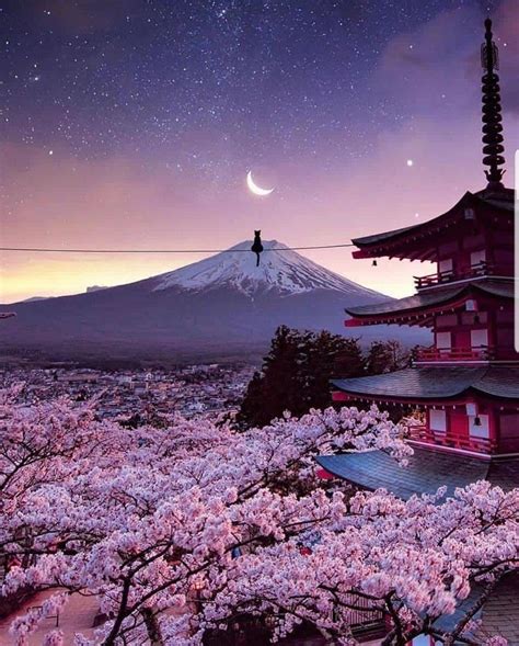 Mount Fuji Japan Landscape Cherry Blossom Japan Wonderful Places