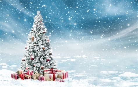 Blue Sky Snowflake Winter Wonderland Christmas Tree Backdrop