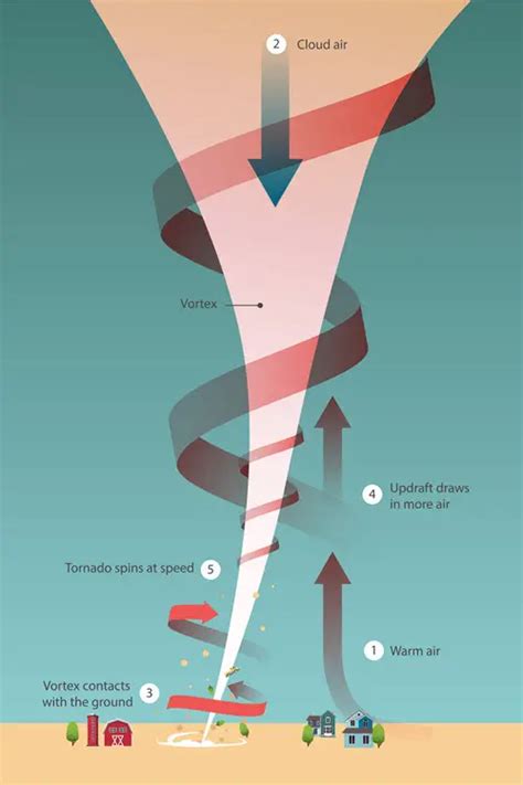 What Is A Wedge Tornado And How Its Different From Other Tornadoes