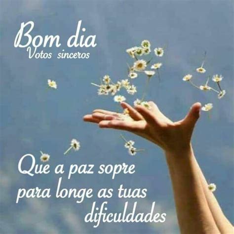 Bau Da Vida Bom Dia