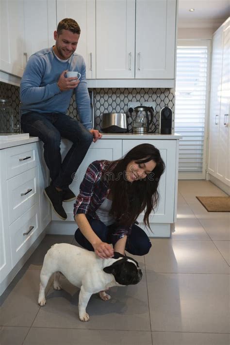 Couple Having Fun With Their Pet Dog In Kitchen Stock Photo Image Of