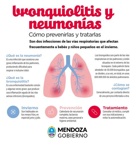 Bronquiolitis y neumonías Cómo prevenirlas y tratarlas Prensa Gobierno de Mendoza