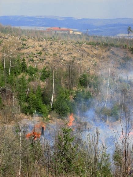 Hasičom Sa Podarilo Zlikvidovať Lesný Požiar V Tatrách Sitask