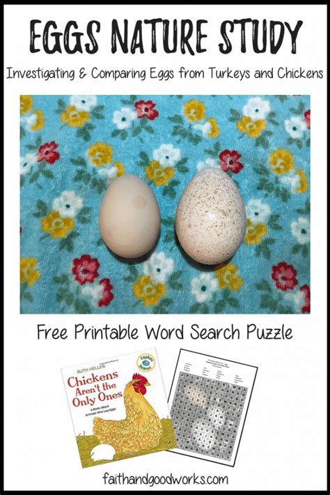 Egg Word Search Puzzle Homeschool Printables For Free