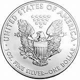 Photos of American Silver Eagle Coins