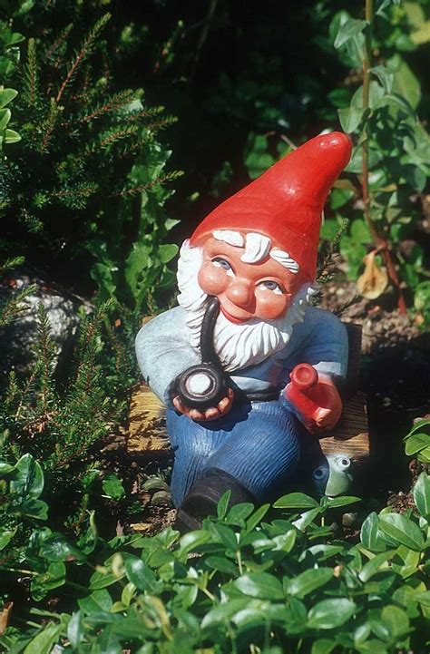 Gnome pictures halloween kitchen scandinavian gnomes gnome garden needful things. Gnomes - Gnomes Photo (931179) - Fanpop