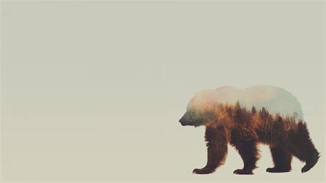 Wallpaper Animals Double Exposure Grizzly Bear Andreas Lie Fauna