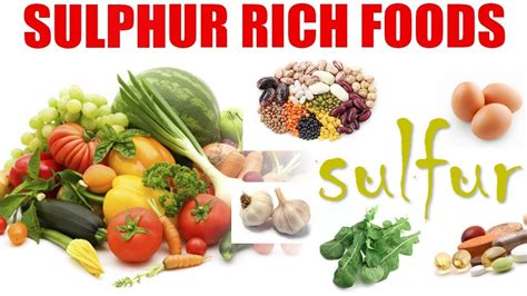 Sulphur Rich Foods Boldsky Youtube