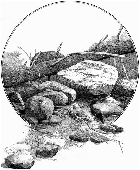 Pin By Skip Mahoney On Pen N Ink Landscape Pencil Drawings Realistic