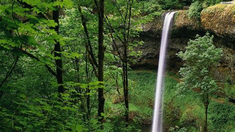 Free Download Green Forest Waterfall Wallpaper Wallpaperwallpapersfree