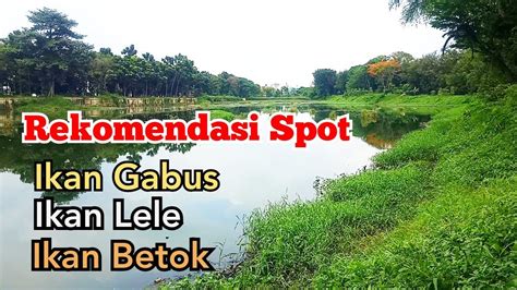 Rute Spot Mancing Liar Di Jakarta Timur Udah Rapih Danaunya Youtube