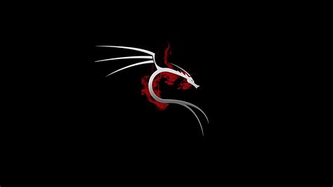 Also you can share or upload your favorite wallpapers. 3840x2160 Kali Linux 4k 4k HD 4k Wallpapers, Images ...