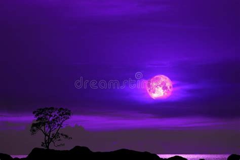 Purple Moon And Tree On The Silhouette Mountain On Sunset Sky Stock