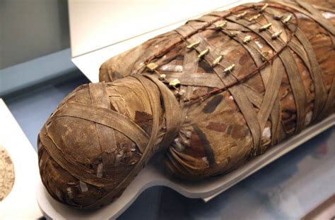 ancient egyptian mummy head shows woman had skin condition due to beauty practice ancient origins
