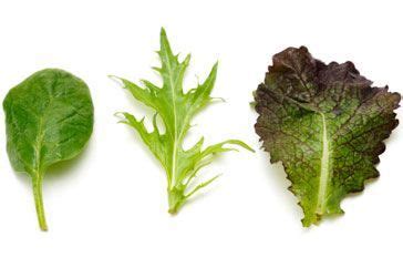 Here are the characteristics of a variety of popular types of lettuce Guide to salad leaves