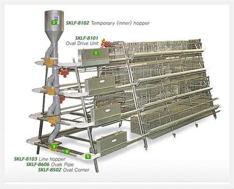 Automatic Cage Disc Feeding System For Layers Tradekorea