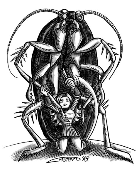 Platero Caricaturas Cómics E Ilustraciones La Cucaracha