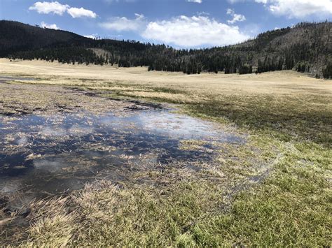 Celebrating 20 Years Of The Valles Caldera National Preserve Caldera