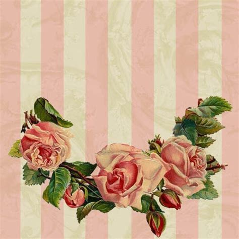 Vintage Roses Shabby Chic Cottage Style Roses Collage Sheet Etsy