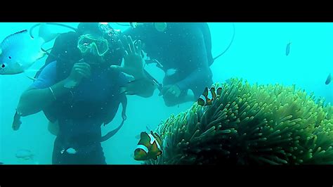 Scuba Diving At Havelock Island Youtube