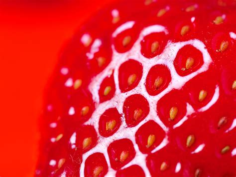 Wallpaper Food Heart Red Fruit Strawberries Flower Plant Berry