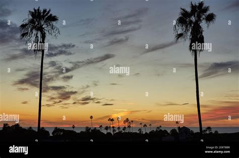 Southern California Ocean Sunset Silhouette With Palm Trees Stock Photo