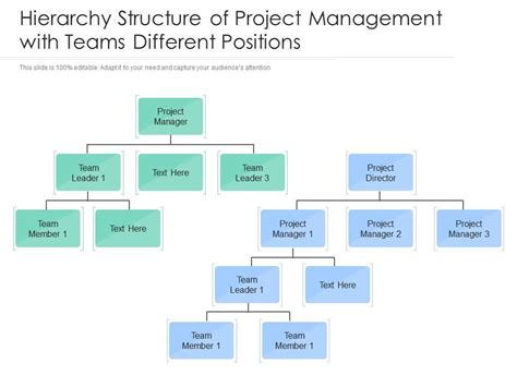 Hierarchy Structure Of Project Management With Teams Different