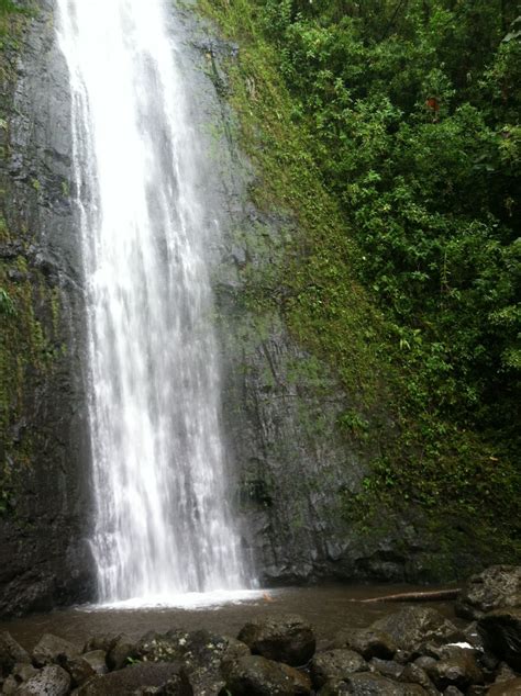 Manoa Falls Oahu Hawaii Oahu Hawaii Oahu Places To Go